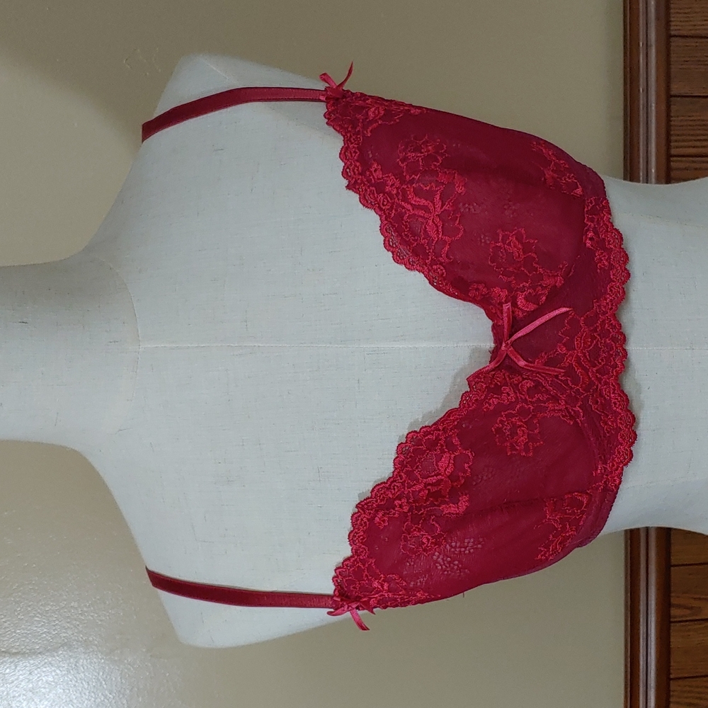 Gilligan & O'Malley Lace Bra NWOT 34C